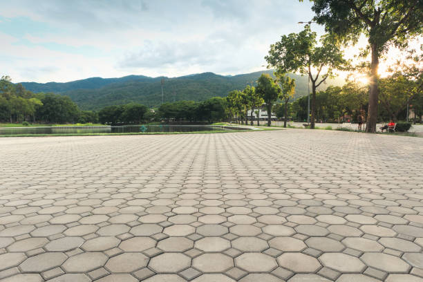 Best Residential Driveway Paver Services  in Kissee Mills, MO